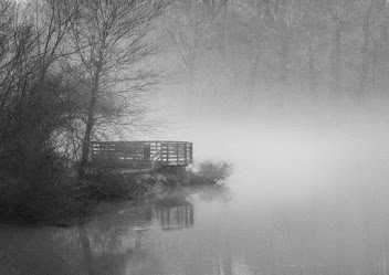 Charity by Kaneesha Brownlee 