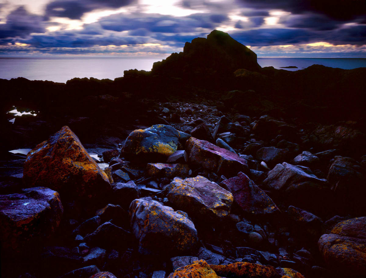 Brier Island 6/25 by Ron Smid 