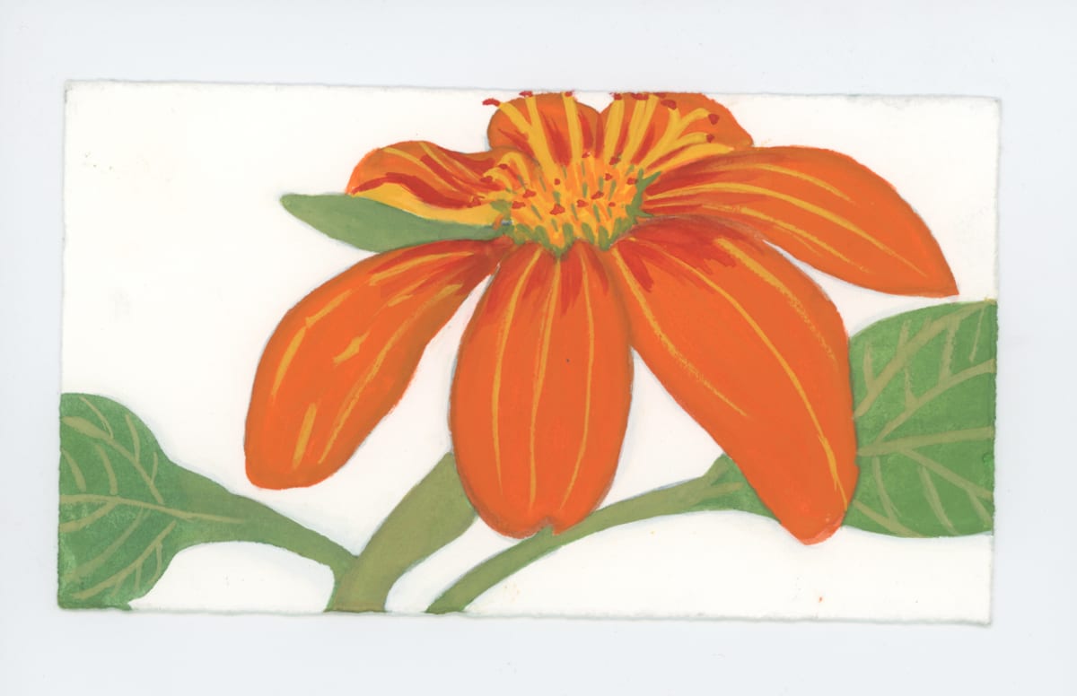 Tithonia, #1739 by Raya Bodnarchuk 