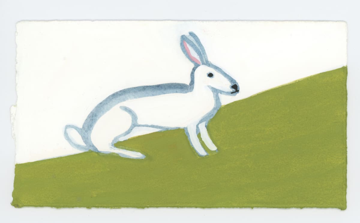 The Rabbit, #1648 