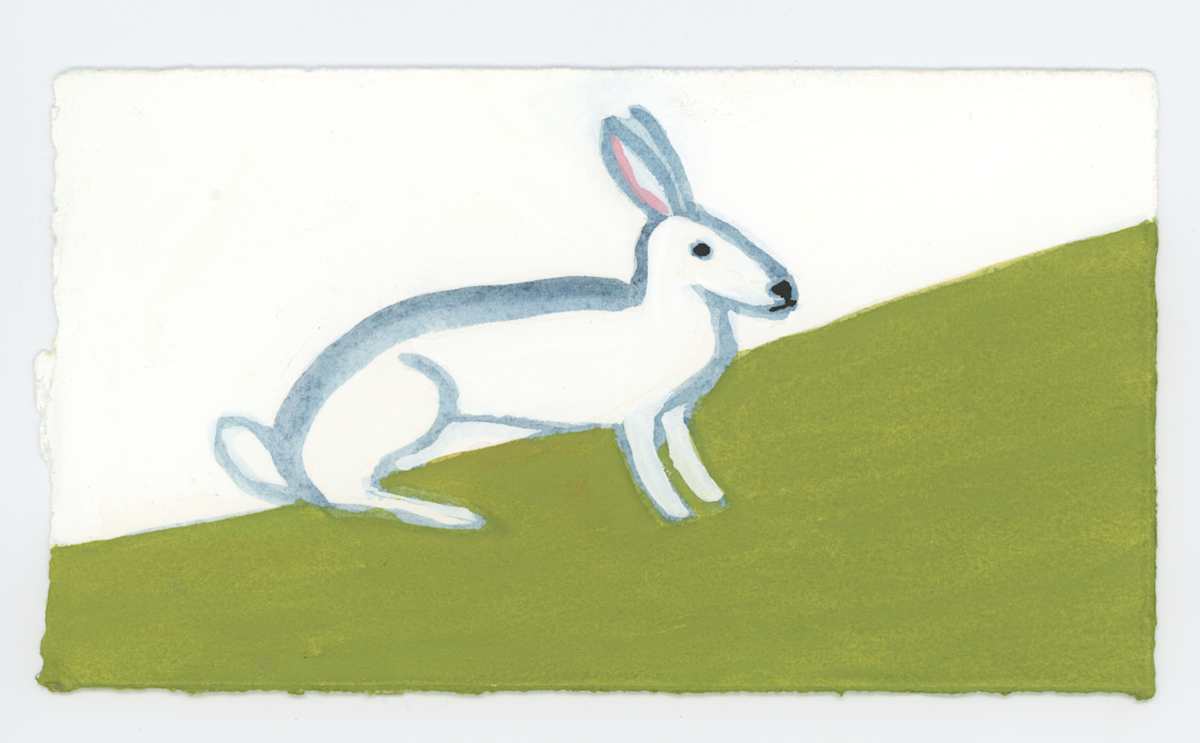 The Rabbit, #1648, Image 1.