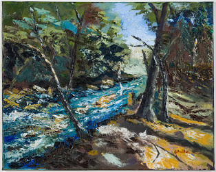 Hahn Woods by Andrew Sheldon 