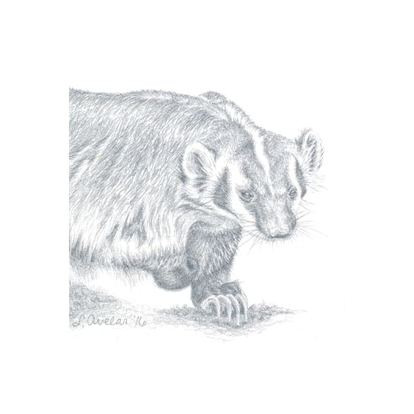 Badgered by Lonetta Avelar, Image 1.