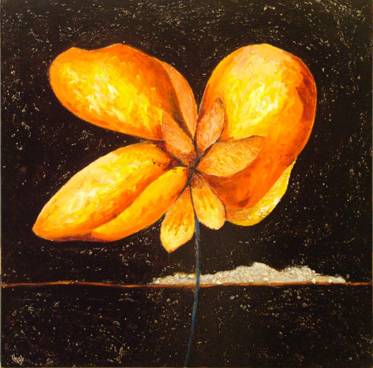 Night Flower by Clemente Mimun 