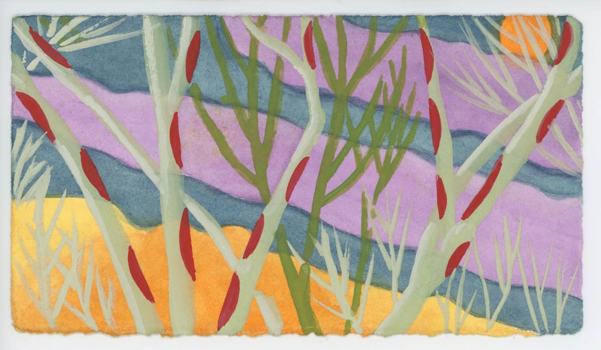 Sycamores, #1573, Image 1.