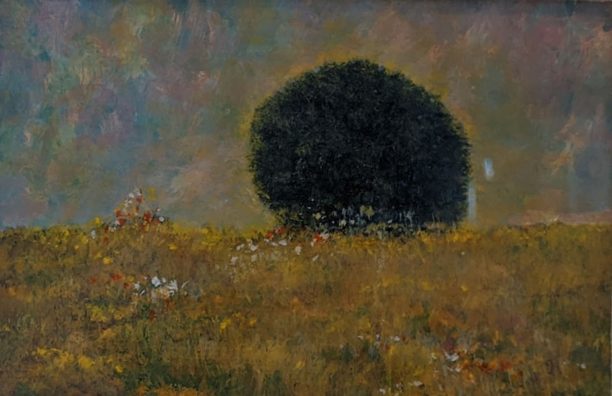 A.M. Field #49 by James Ridlon 