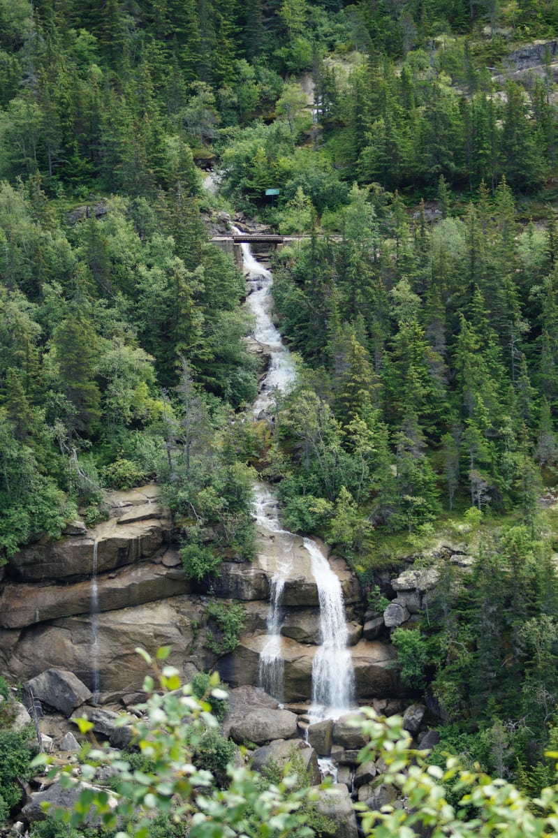 Calm Cascade by Jeanette Sweeney 