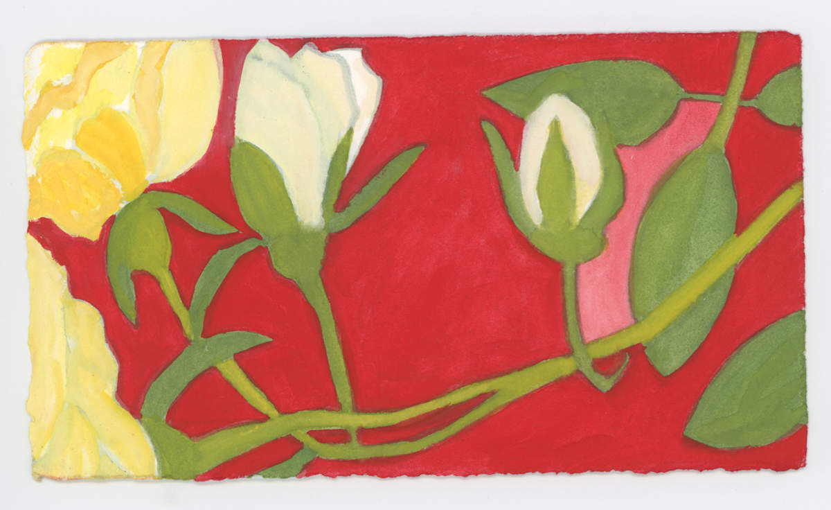 The White Roses, #1636, Image 1.
