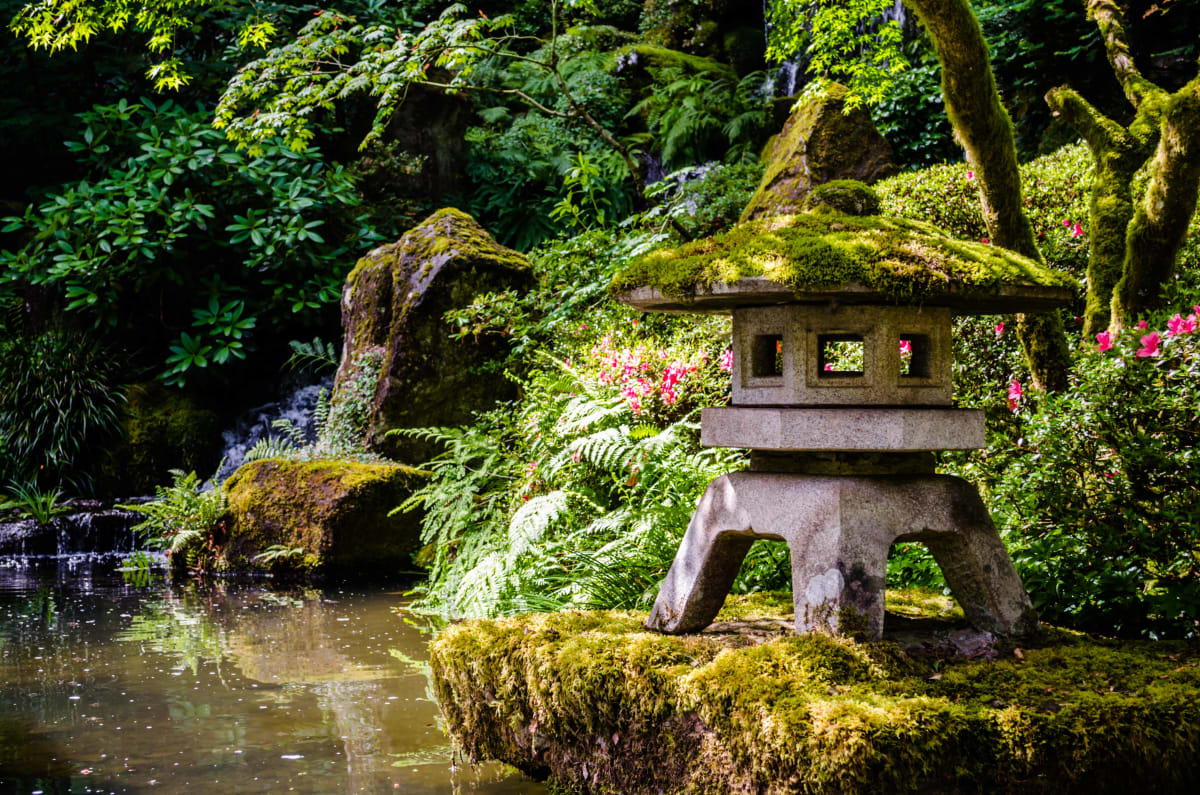 Zen Pond by David Joseph, MD, Image 1.