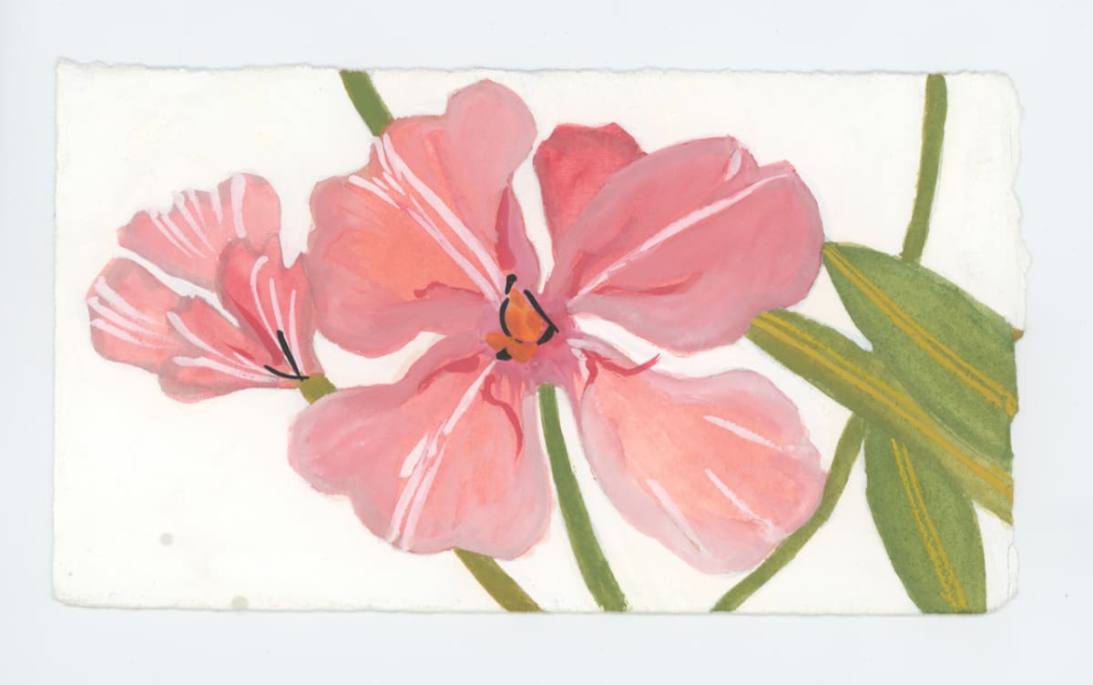 Oleander, #1716 by Raya Bodnarchuk, Image 1.