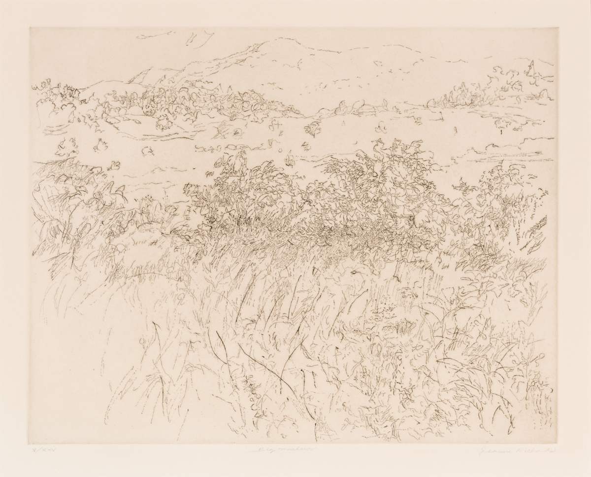 Big Meadows by Jeanne Richards, Image 1.