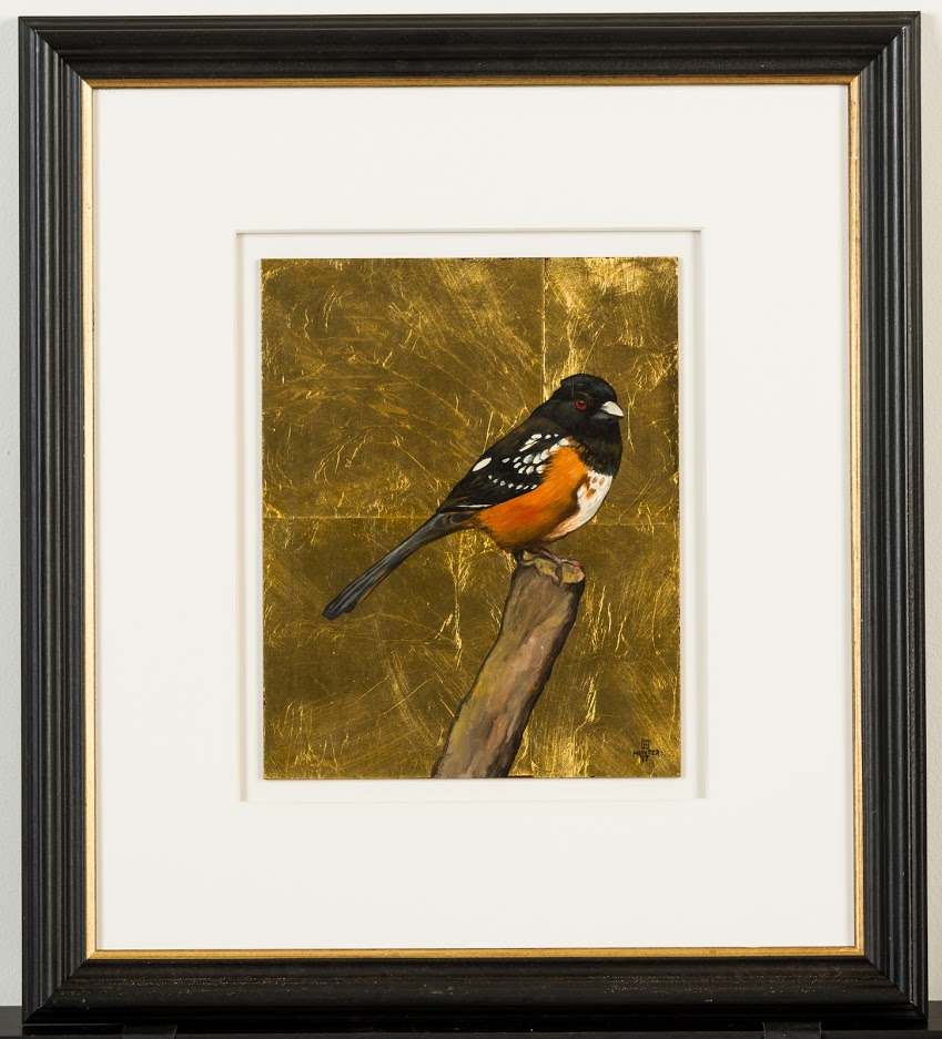 Eastern Towhee by Tim Hunter, Image 1.