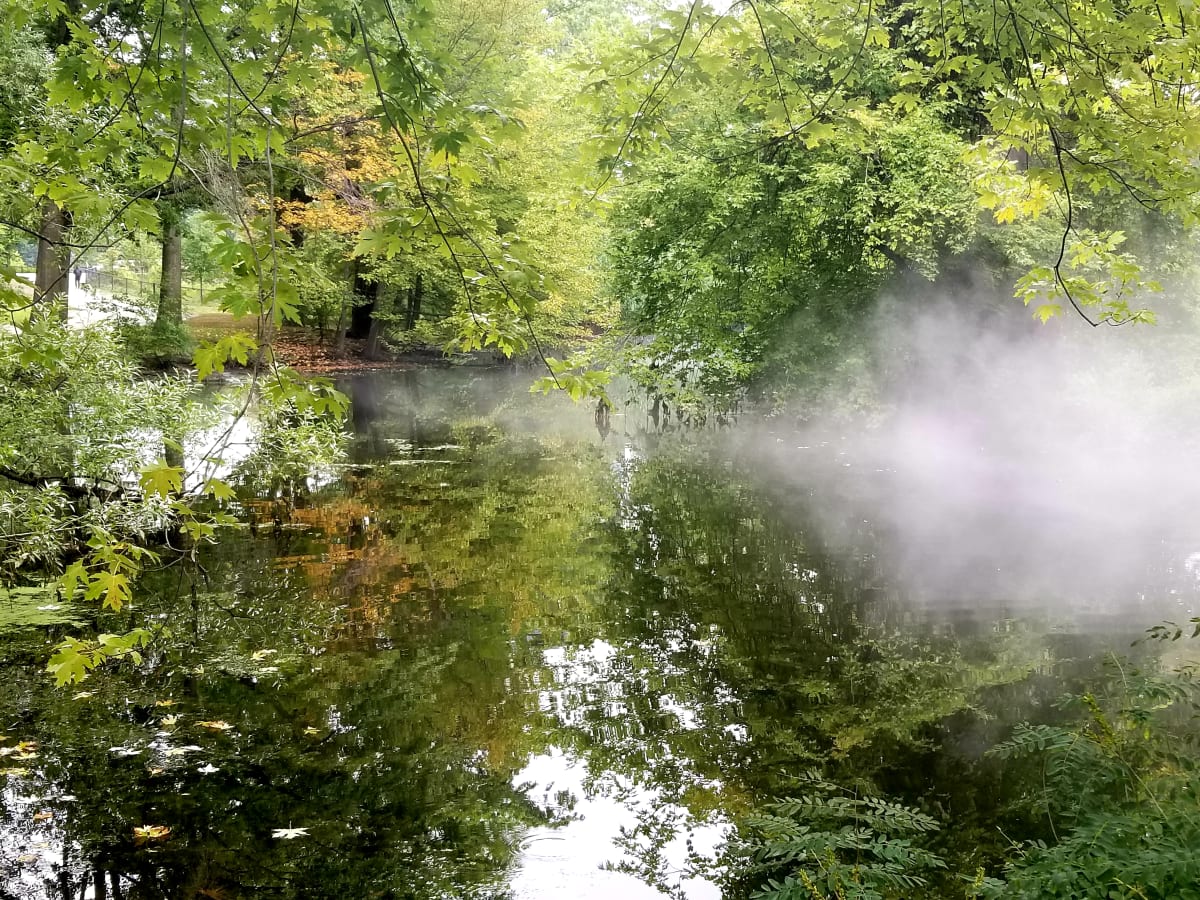 Foggy Pond by Carrie Claffey, RN 