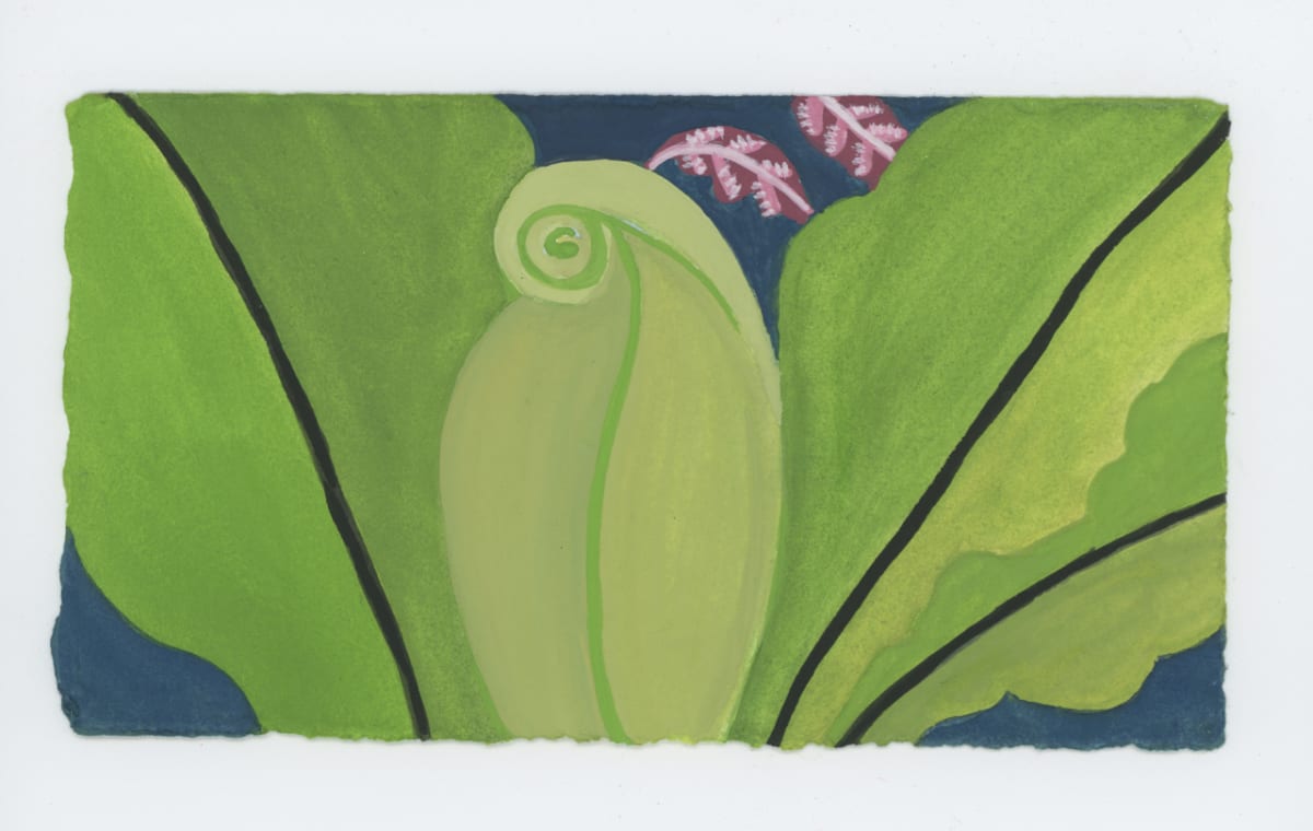 A Bird's Nest Fern, #1905 by Raya Bodnarchuk, Image 1.