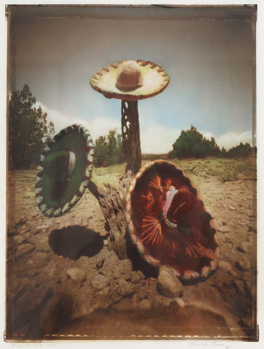 Tres Amigos by Marilyn Conway, Image 1.