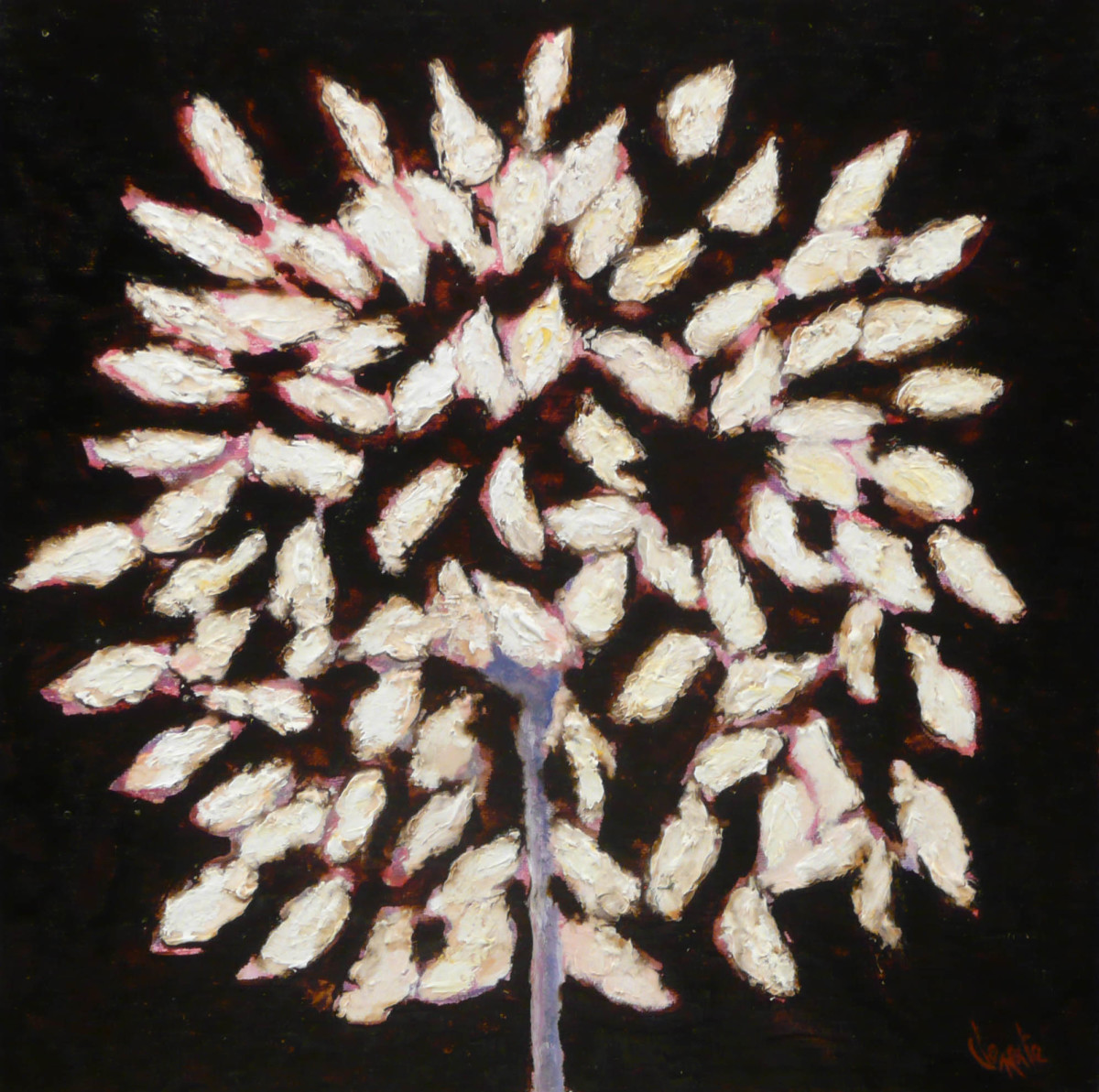 Flower without Vase by Clemente Mimun 