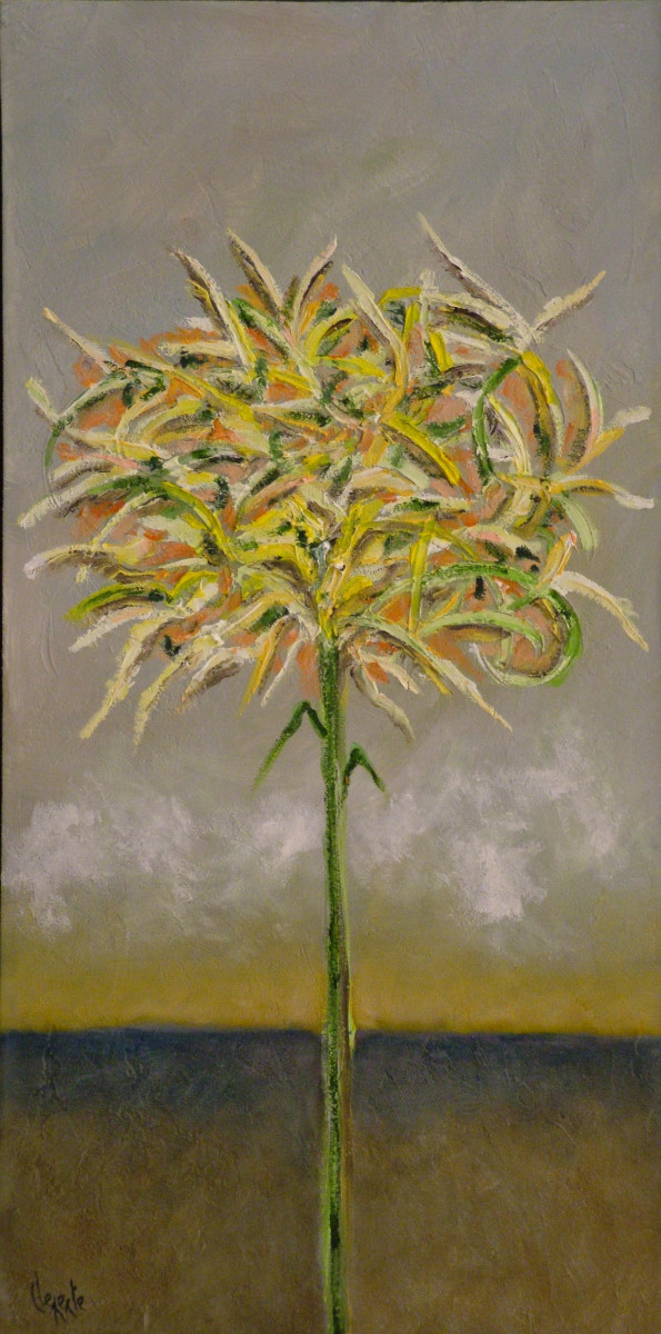 F506 by Clemente Mimun 