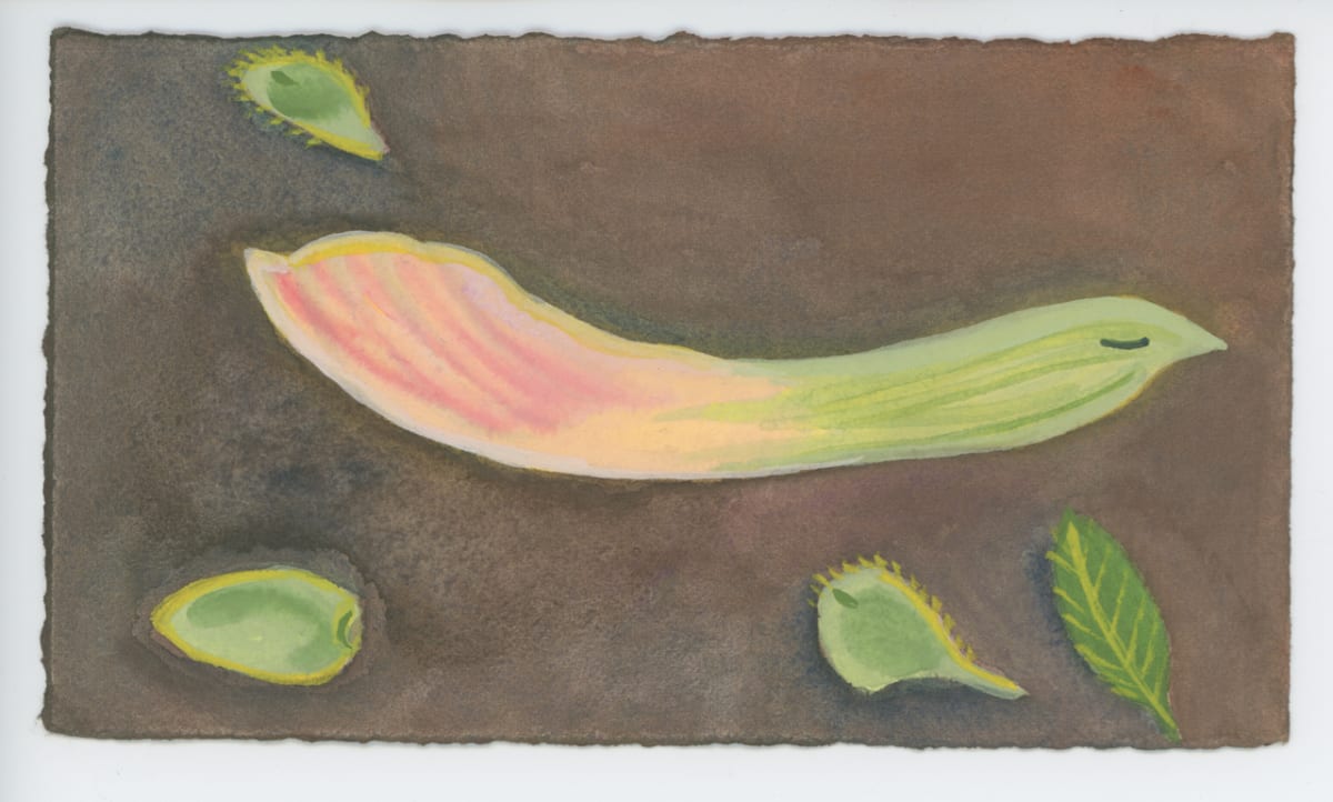 Maple on the Patio, #1616 