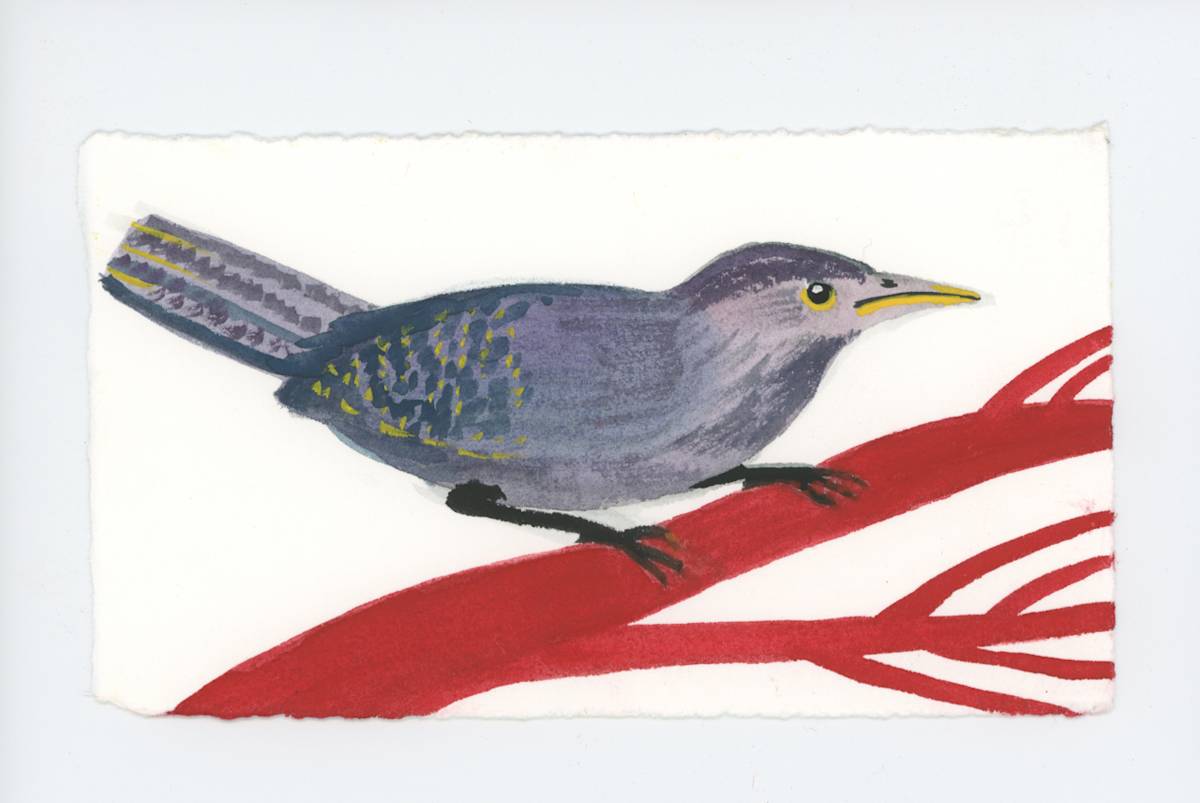 Starling on the Branch, #1753, Image 1.