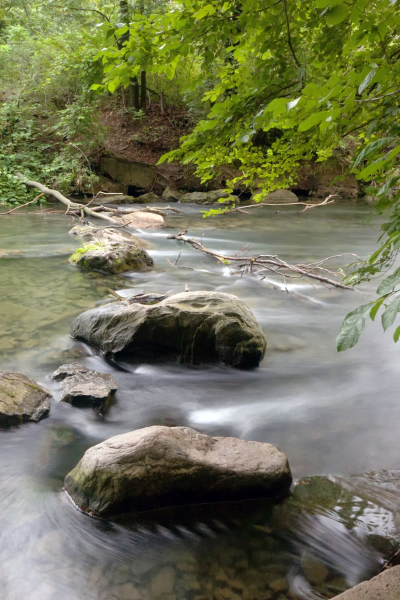 Stepping Stones by Don Hill 