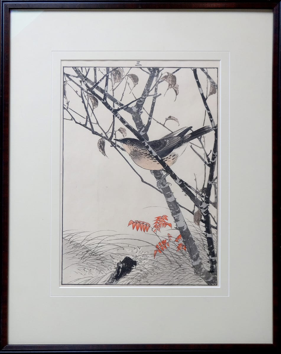 Thrush by Imao Keinen (1845-1924) 