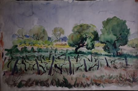 Vineyard with Trees by Tunis Ponsen 