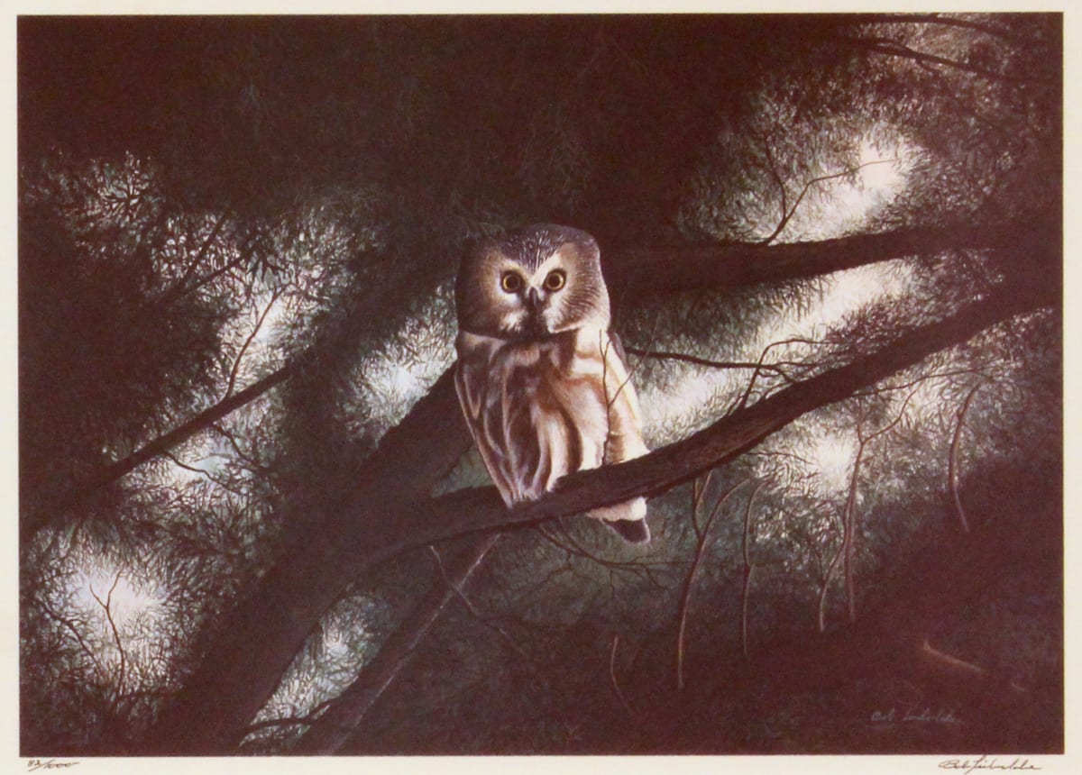 Saw Whet Owl in Cedar by Bob Timberlake, Image 1.