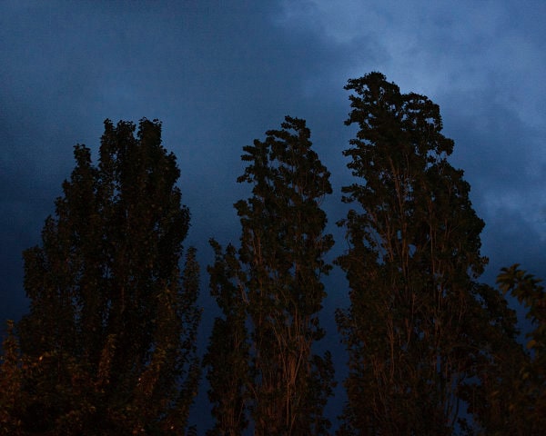 Untitled by Navidreza Haghighi Mood, Image 1.