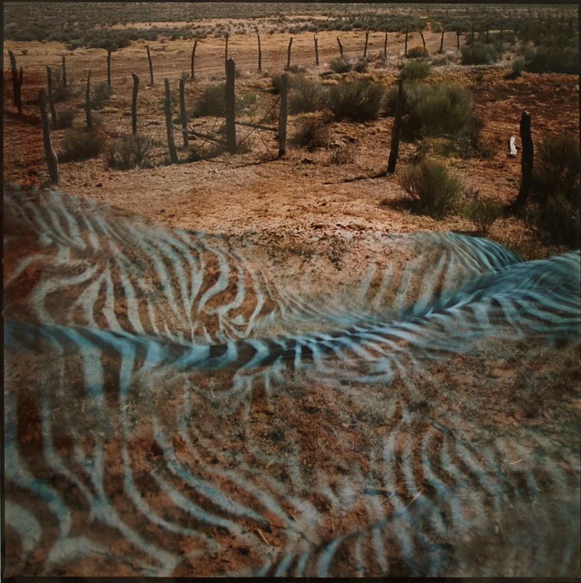 Spiral Horse, Bluff, Utah 1994 by Susan Moldenhauer 