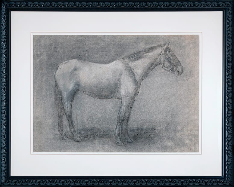 Drawing of Horse by Kate Smith Hoole 