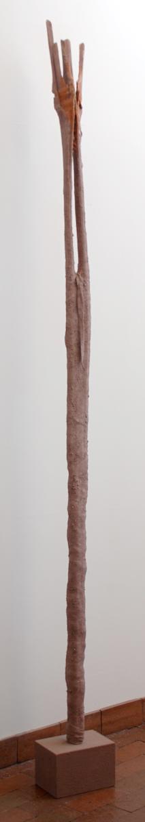 Saguaro Staff by Nicki Marx, Image 1.
