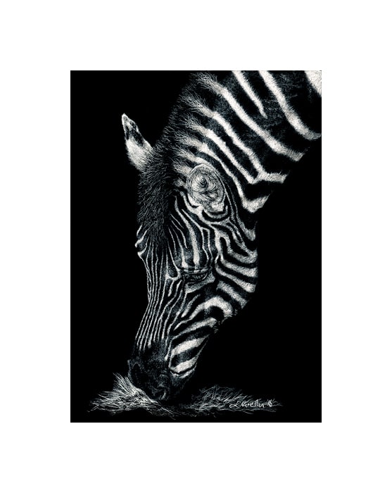 Grazing Stripes by Lonetta Avelar, Image 1.
