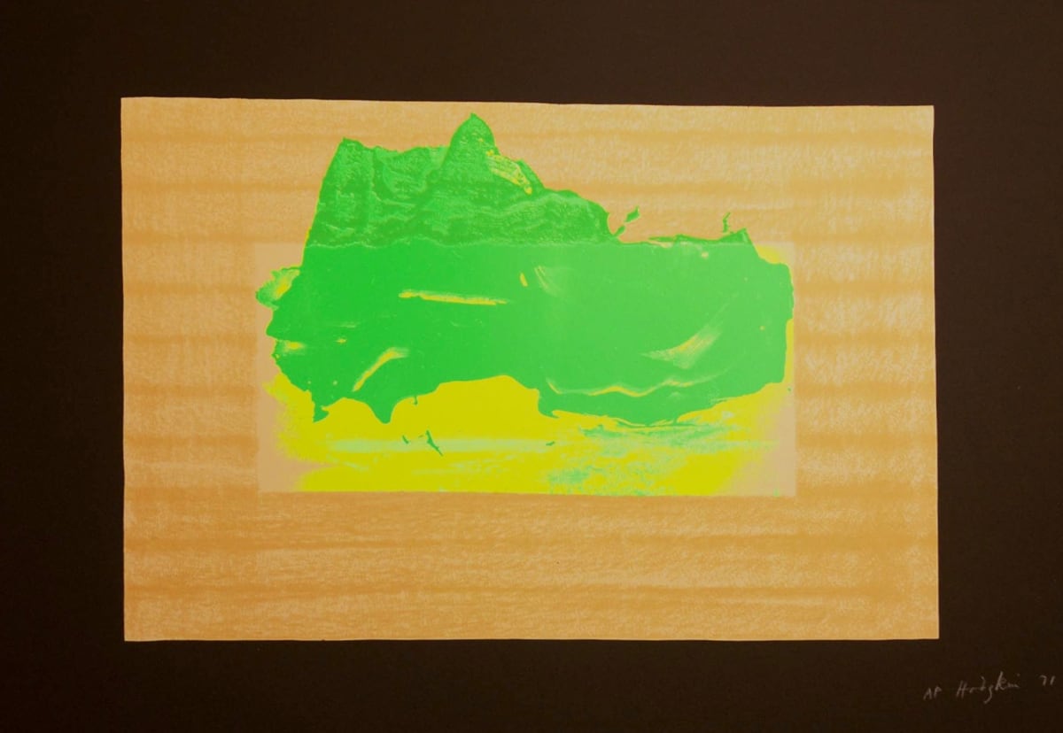 Indian View D by Howard Hodgkin 