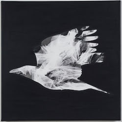 As the Crow Flies I by Lori Lejeune, Image 4.