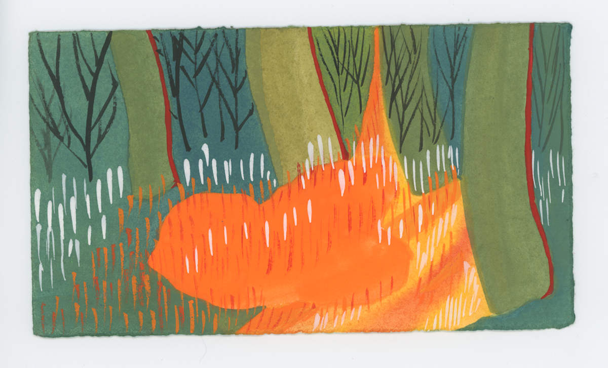Late Sunlight Through the Trees, #1678, Image 1.
