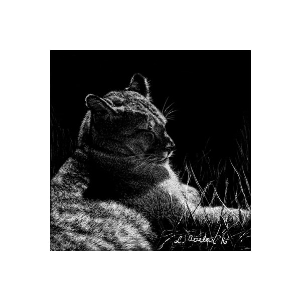 Siesta by Lonetta Avelar, Image 1.