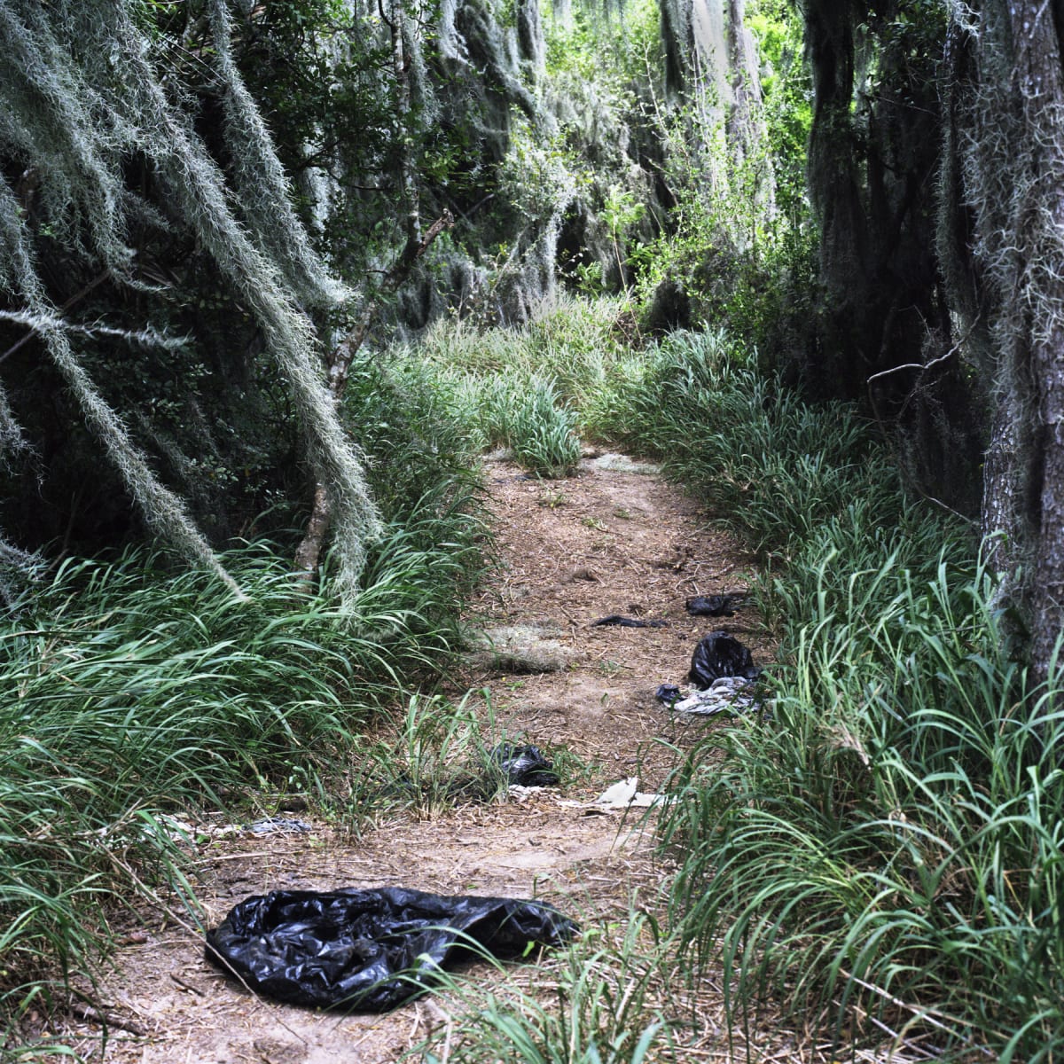 Coyote Campsite (Sitio de campamiento de coyotes), from the portfolio Borders and Belonging by Susan Harbage Page 