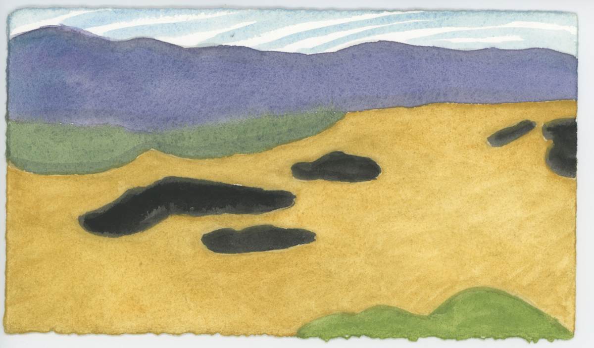 Early Spring Silt, #1552, Image 1.