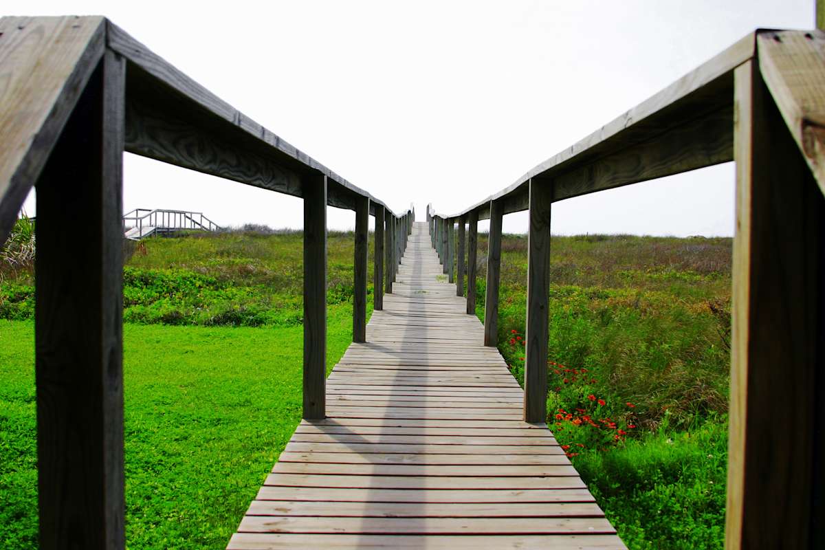 Beach Path by Ricardo Zamarripa, Image 1.
