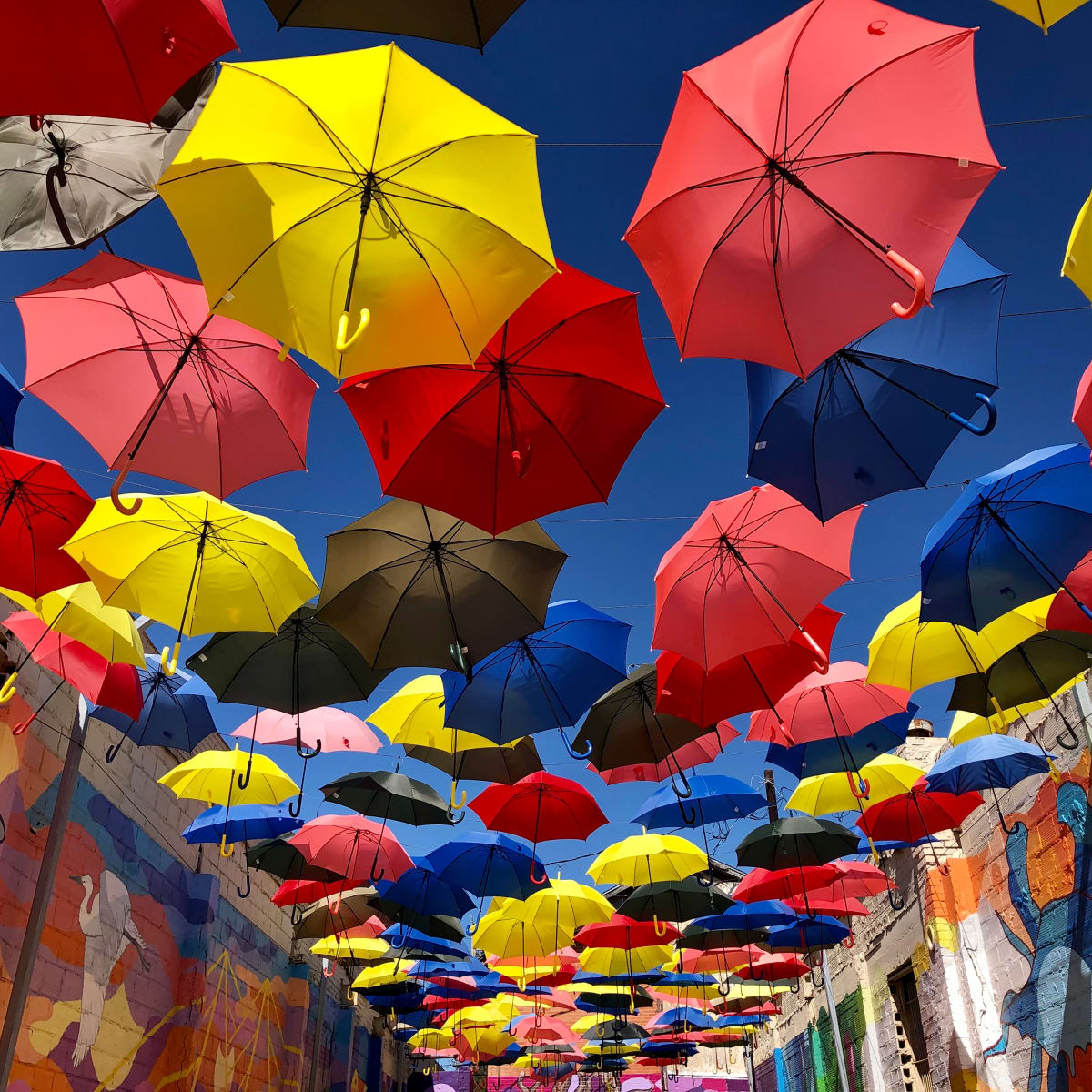 The Umbrella Alley by Lyn Patron, BSN RN RNBC 