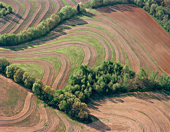 Alabama 19-6, 1987 by Barry Andersen, Image 1.