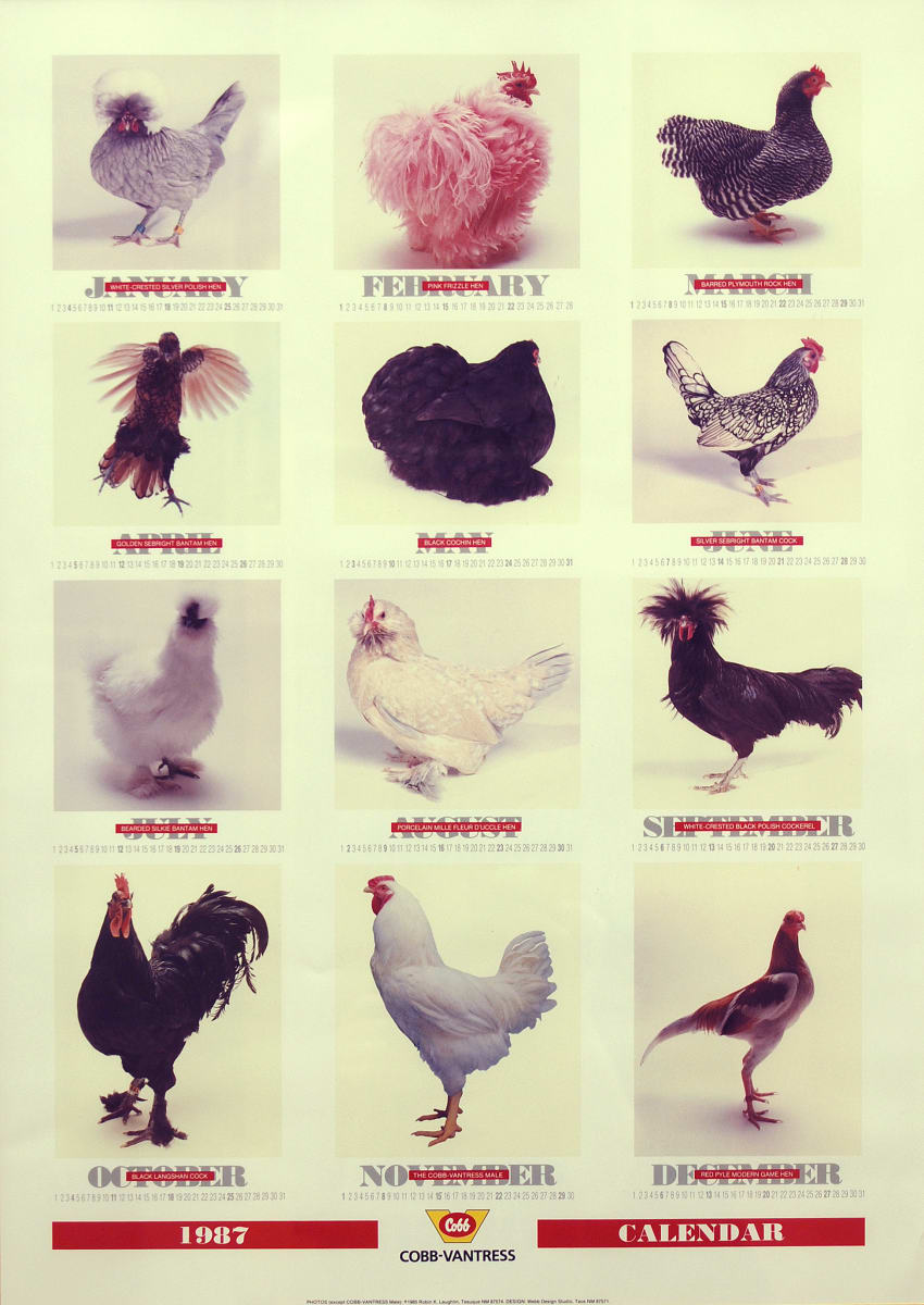 Title Unknown by Robin K. Laughlin 