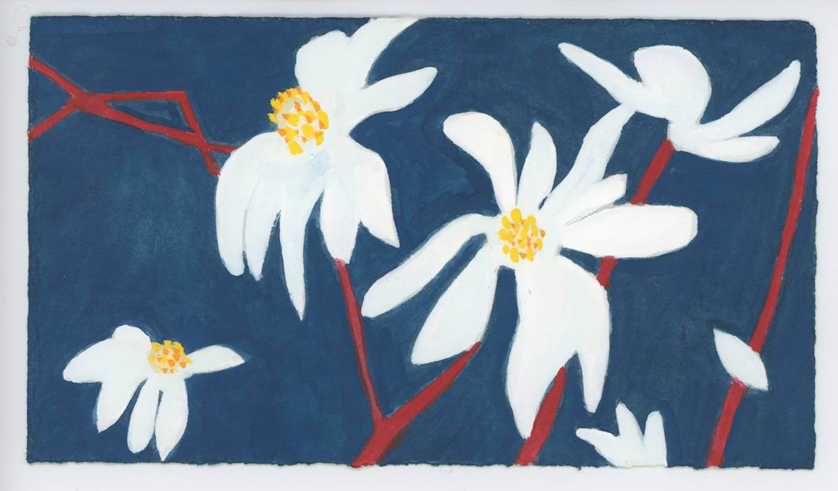 Star Magnolias at Night, #1583 by Raya Bodnarchuk, Image 1.