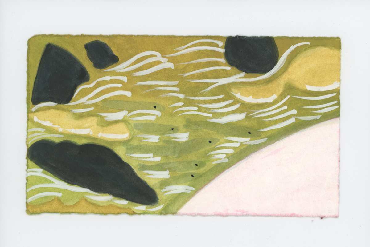 Fish on the Edge of the Falls, #1775, Image 1.