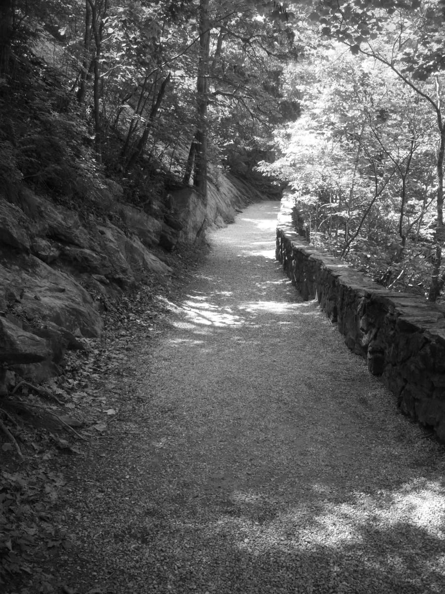 Tranquility Trail #2 by Tiberio Gonzalez 