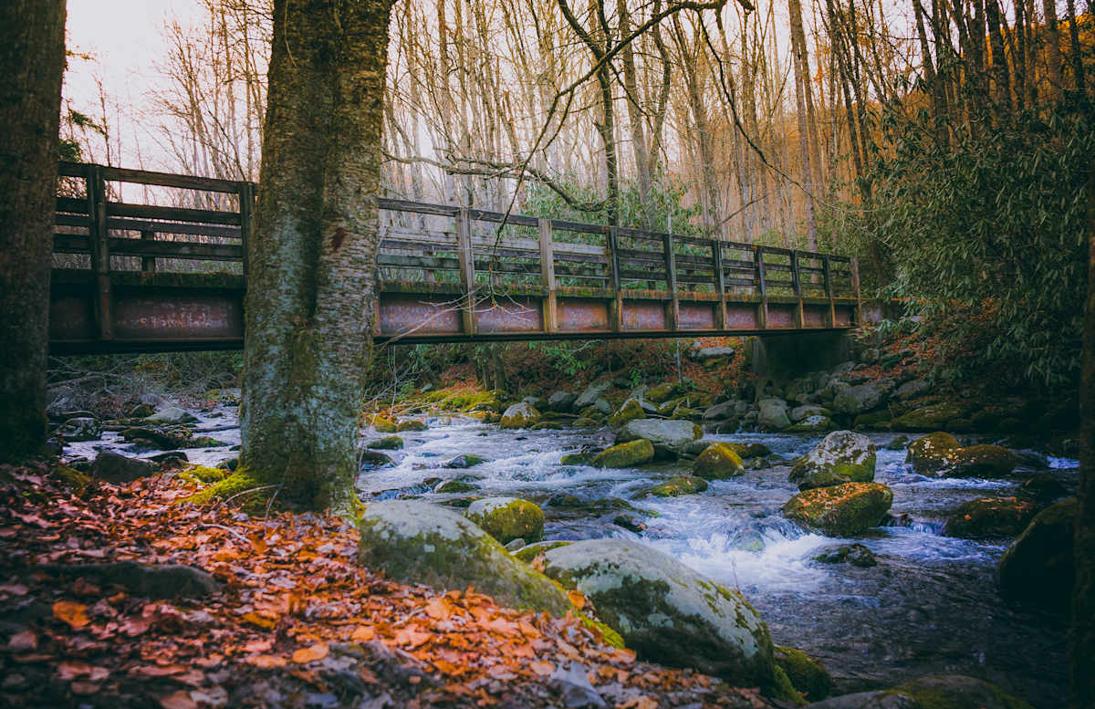 Bridge and Brooks by Subhendu Chakraborty, Image 1.