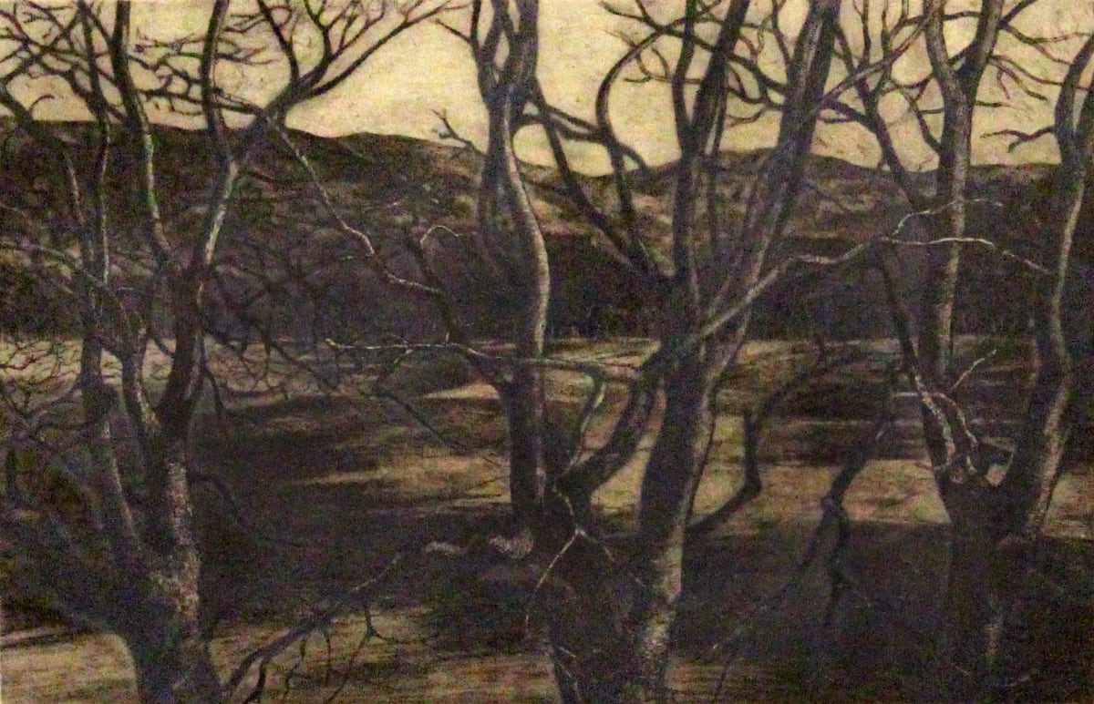 Three Trees by Adrian Van Suchtelen, Image 1.