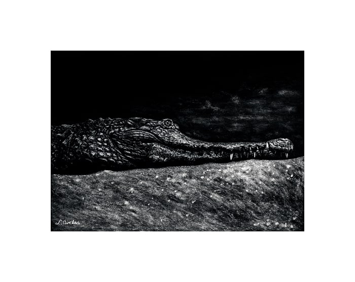 Slender Snouted by Lonetta Avelar, Image 1.