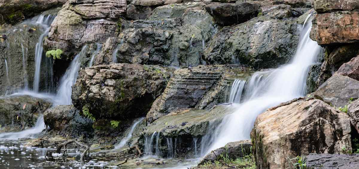 In Touch with Nature by Maxine Douglas, RPh, Image 1.