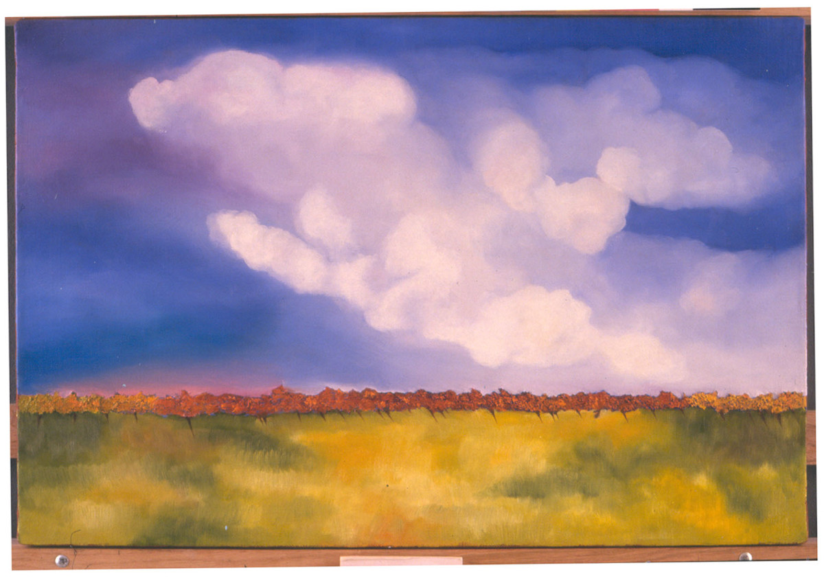 Coral Horizon by Clemente Mimun 